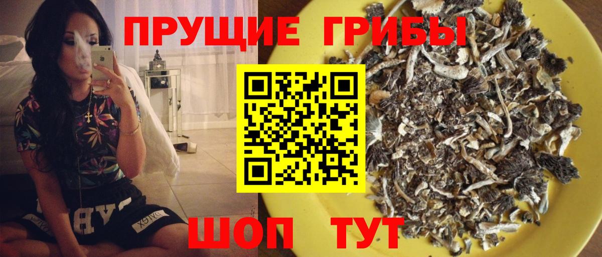 Каменск-Уральский  Псилоцибиновые грибы ЛСД  Вход с VPN 
